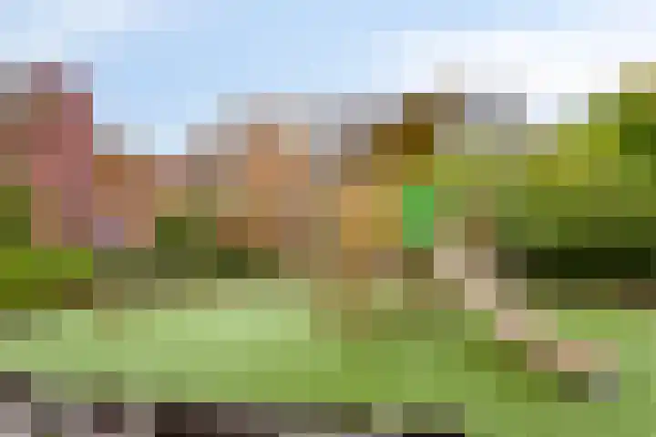 Koninginnelaan 52 Groningen thumbnail 37