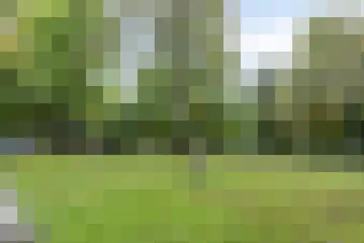 Koninginnelaan 52 Groningen thumbnail 38