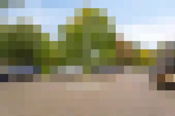 Koninginnelaan 52 Groningen thumbnail 39