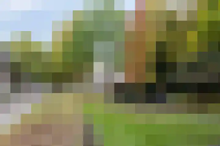 Koninginnelaan 52 Groningen thumbnail 40