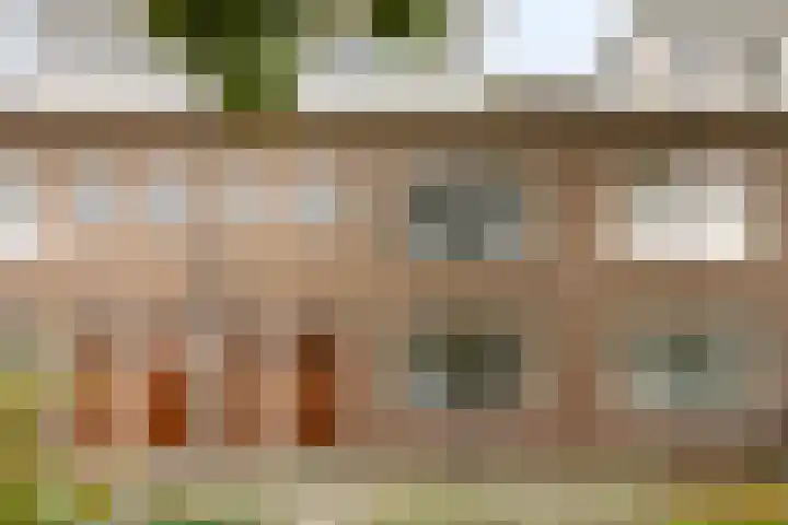 Koninginnelaan 52 Groningen thumbnail 9