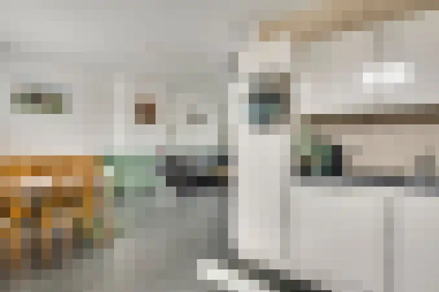 Koninginnelaan 52 Roermond thumbnail 11