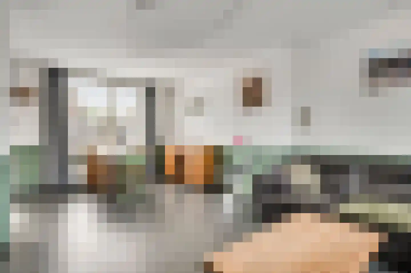 Koninginnelaan 52 Roermond thumbnail 5