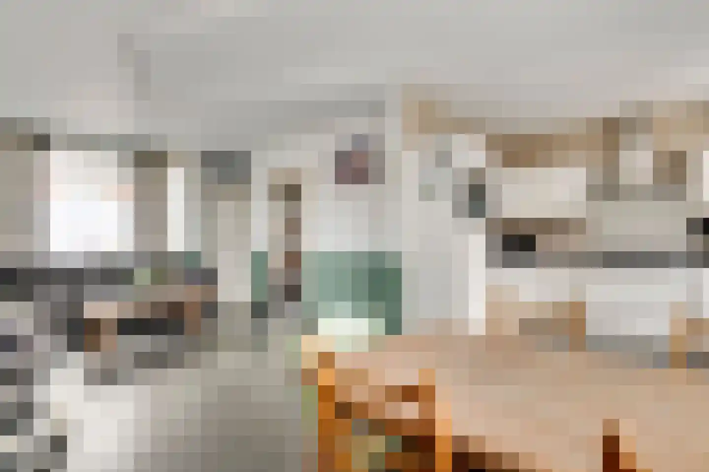Koninginnelaan 52 Roermond thumbnail 8
