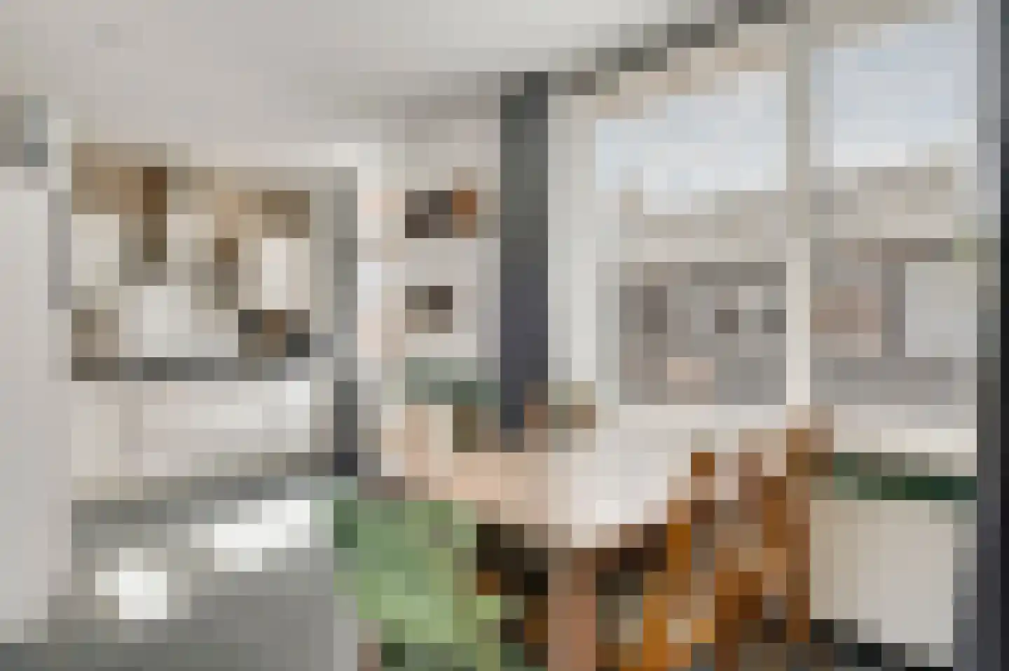 Koninginnelaan 52 Roermond thumbnail 9
