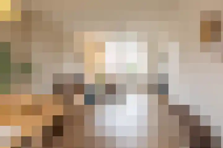 Koninginnelaan 53 c Groningen thumbnail 14