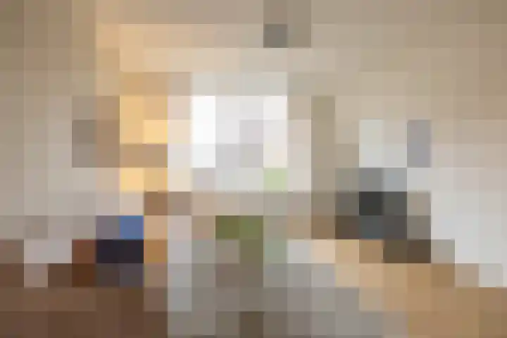 Koninginnelaan 53 c Groningen thumbnail 16