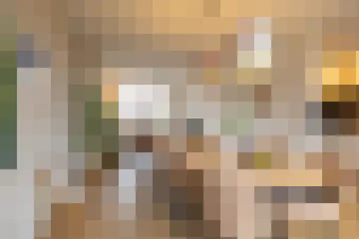 Koninginnelaan 53 c Groningen thumbnail 19