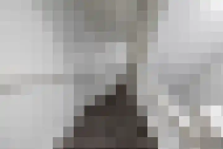 Koninginnelaan 53 c Groningen thumbnail 28