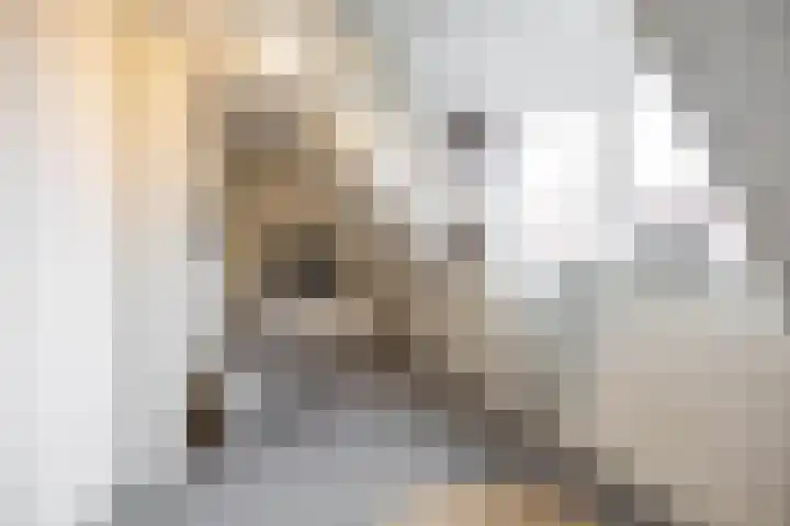 Koninginnelaan 53 c Groningen thumbnail 34