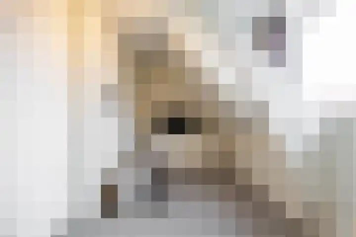 Koninginnelaan 53 c Groningen thumbnail 35