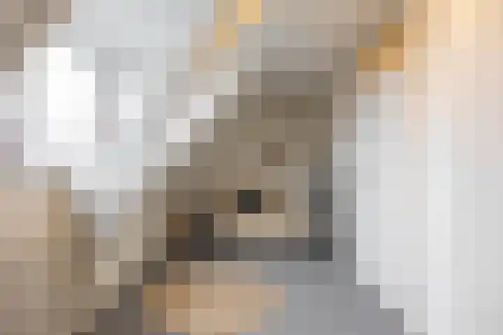 Koninginnelaan 53 c Groningen thumbnail 36