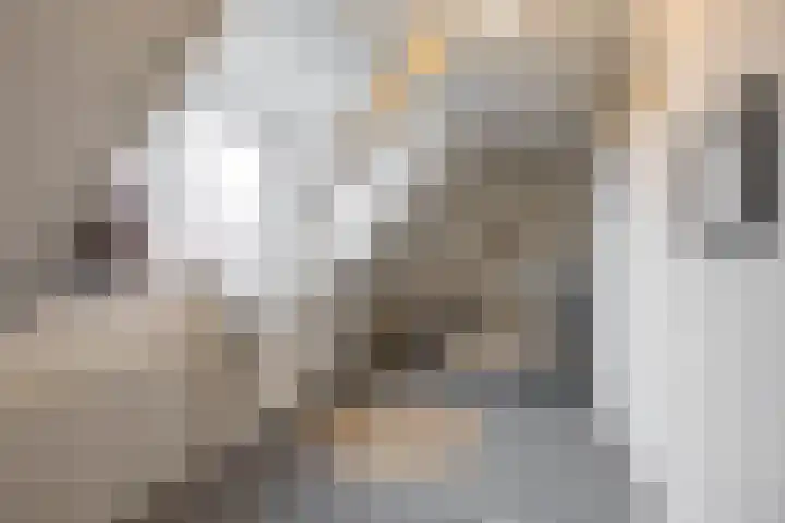 Koninginnelaan 53 c Groningen thumbnail 37