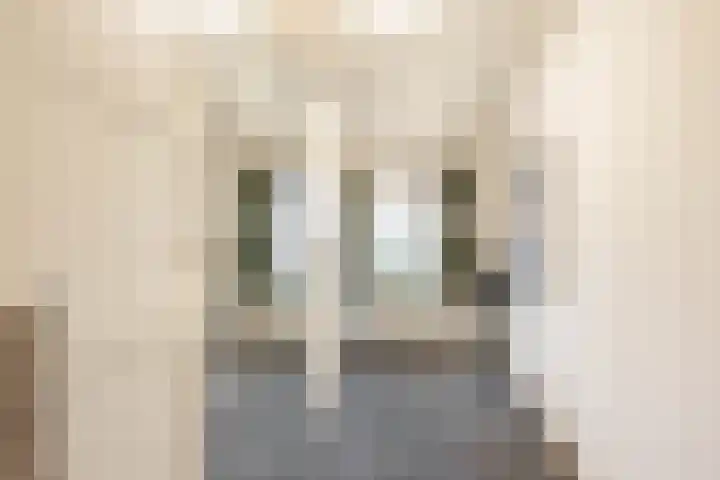 Koninginnelaan 53 c Groningen thumbnail 38