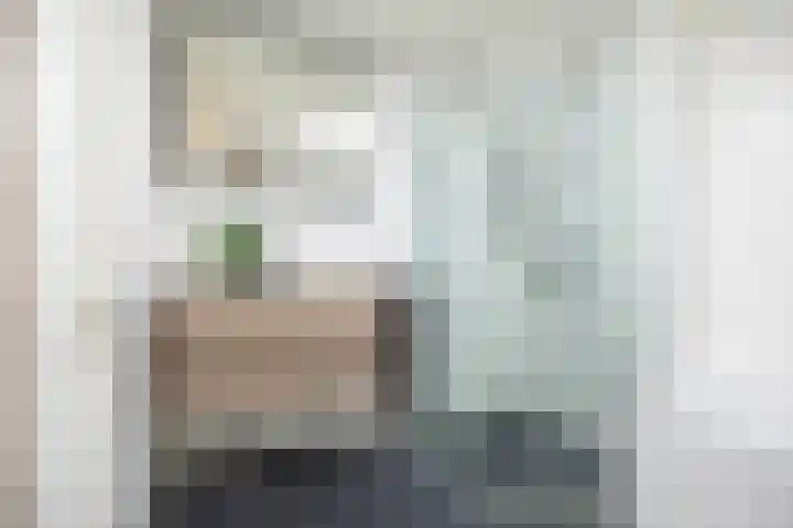 Koninginnelaan 53 c Groningen thumbnail 41