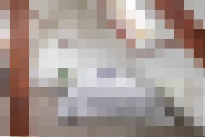 Koninginnelaan 53 c Groningen thumbnail 47