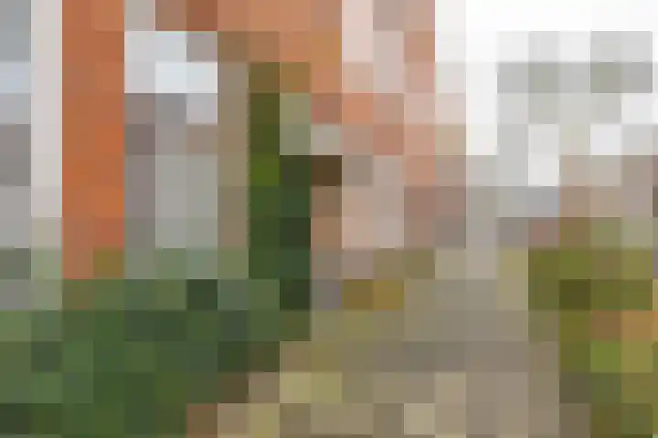 Koninginnelaan 53 c Groningen thumbnail 52