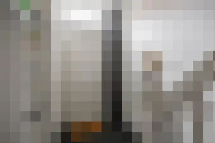 Koninginnelaan 53 c Groningen thumbnail 6