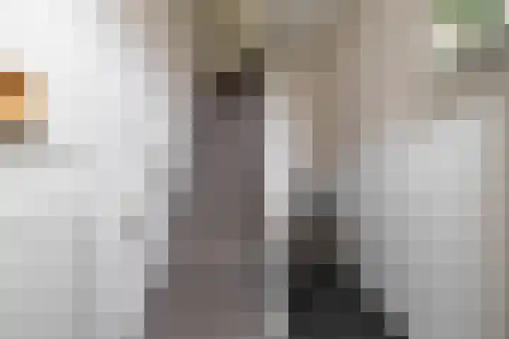 Koninginnelaan 53 c Groningen thumbnail 7