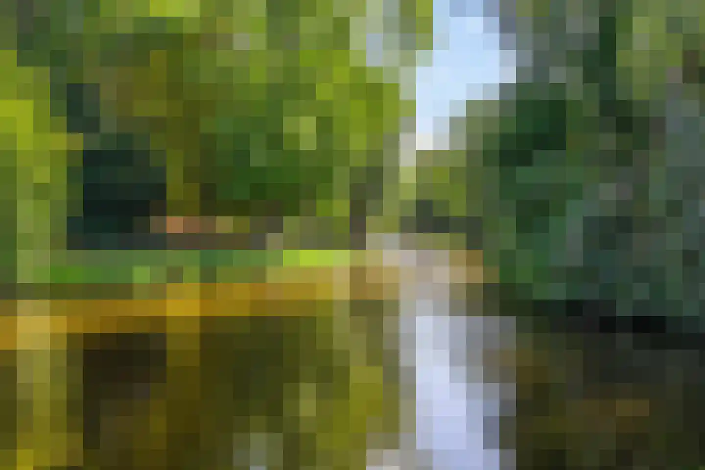 Koninginnelaan 55 a Groningen foto 3