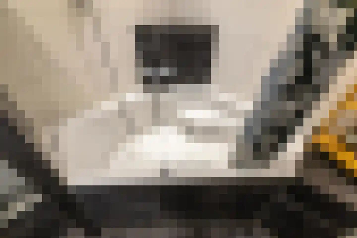 Koninginnelaan 55 a Groningen thumbnail 34