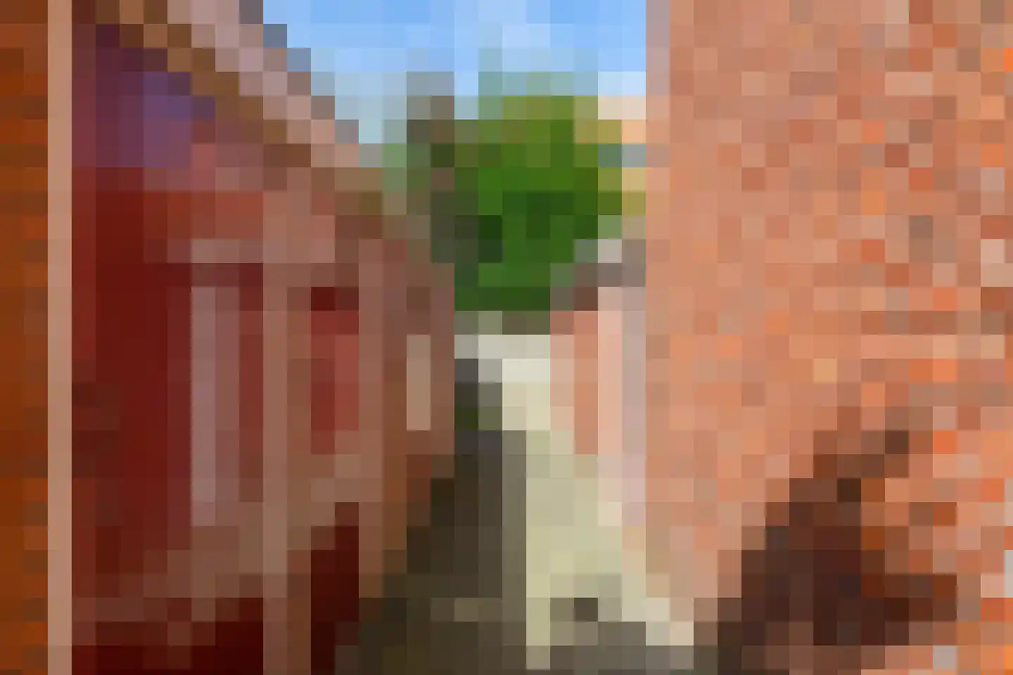 Koninginnelaan 55 a Groningen thumbnail 36