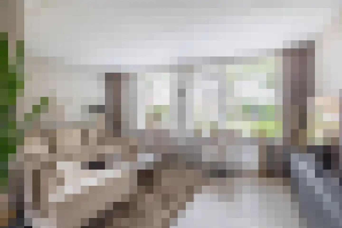 Koninginnelaan 57 Sommelsdijk thumbnail 10