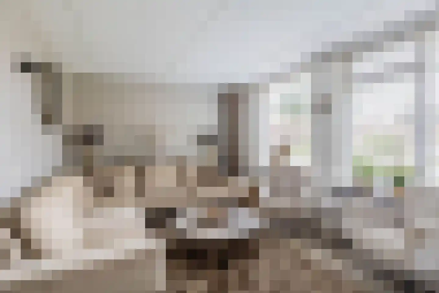 Koninginnelaan 57 Sommelsdijk thumbnail 11