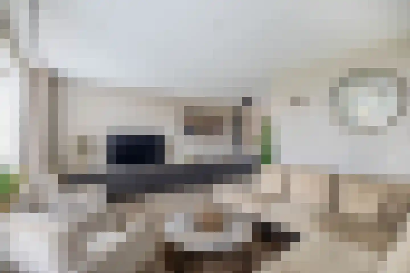 Koninginnelaan 57 Sommelsdijk thumbnail 12