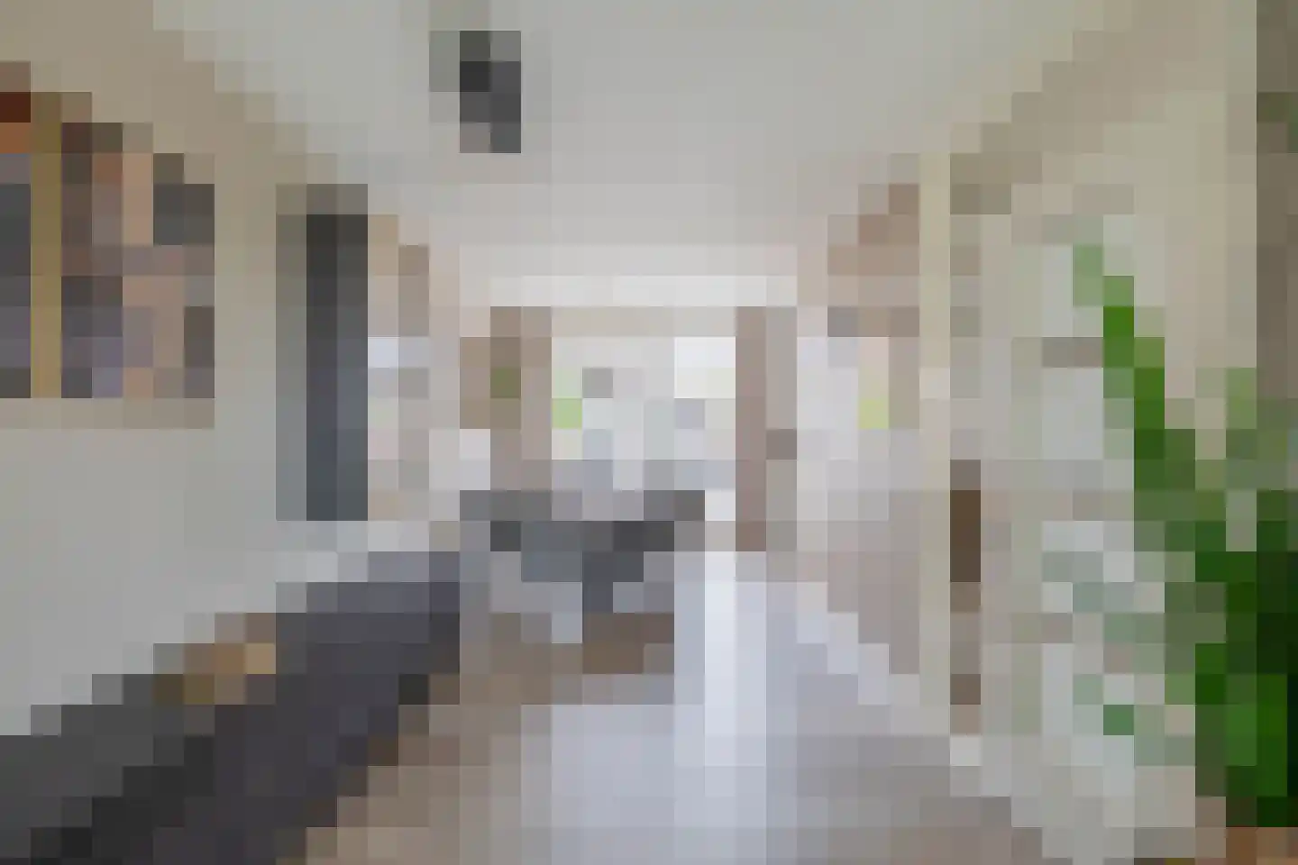 Koninginnelaan 57 Sommelsdijk thumbnail 14