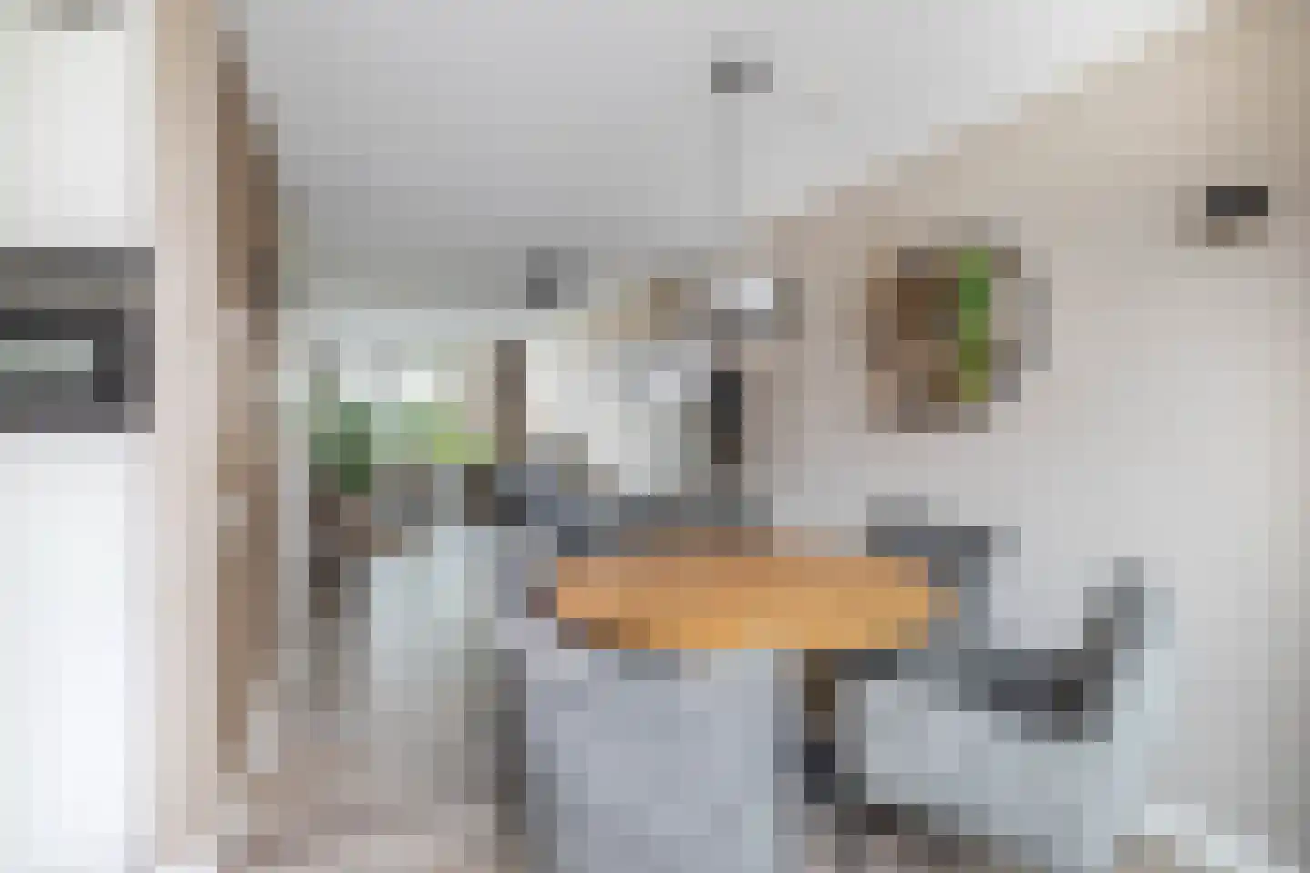 Koninginnelaan 57 Sommelsdijk thumbnail 16