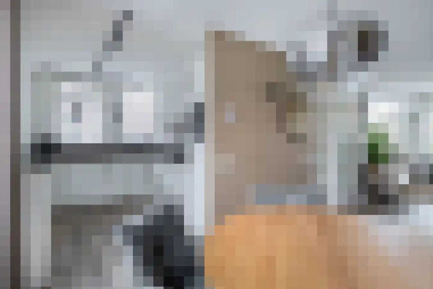 Koninginnelaan 57 Sommelsdijk thumbnail 17