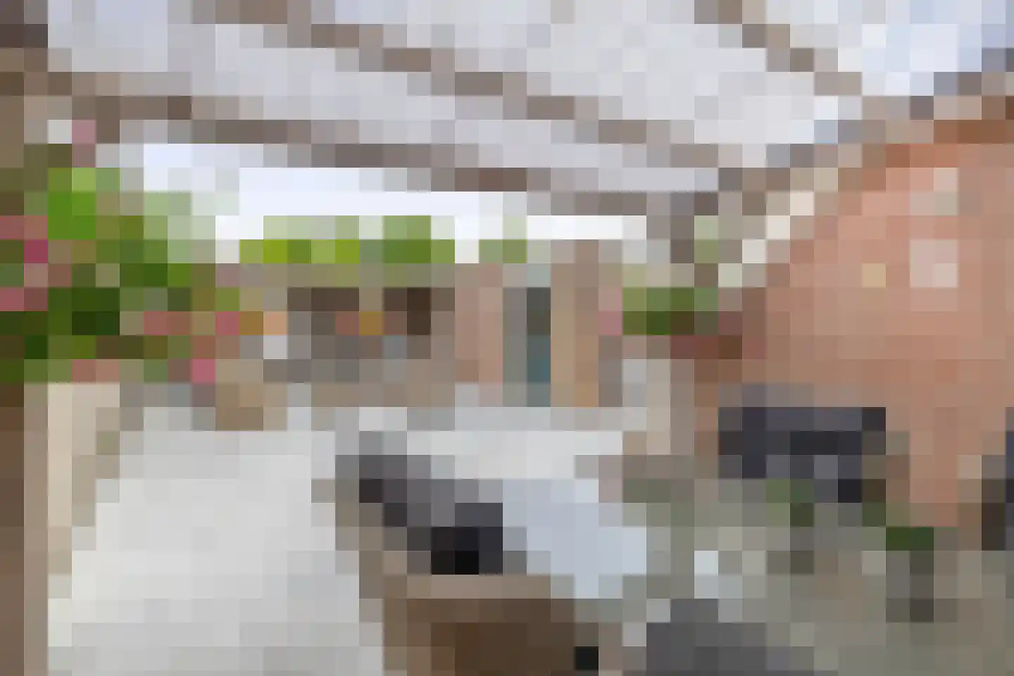 Koninginnelaan 57 Sommelsdijk thumbnail 34