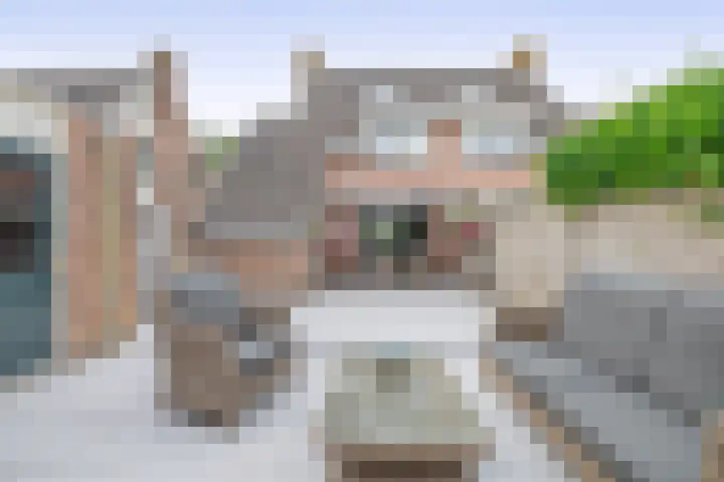 Koninginnelaan 57 Sommelsdijk thumbnail 4