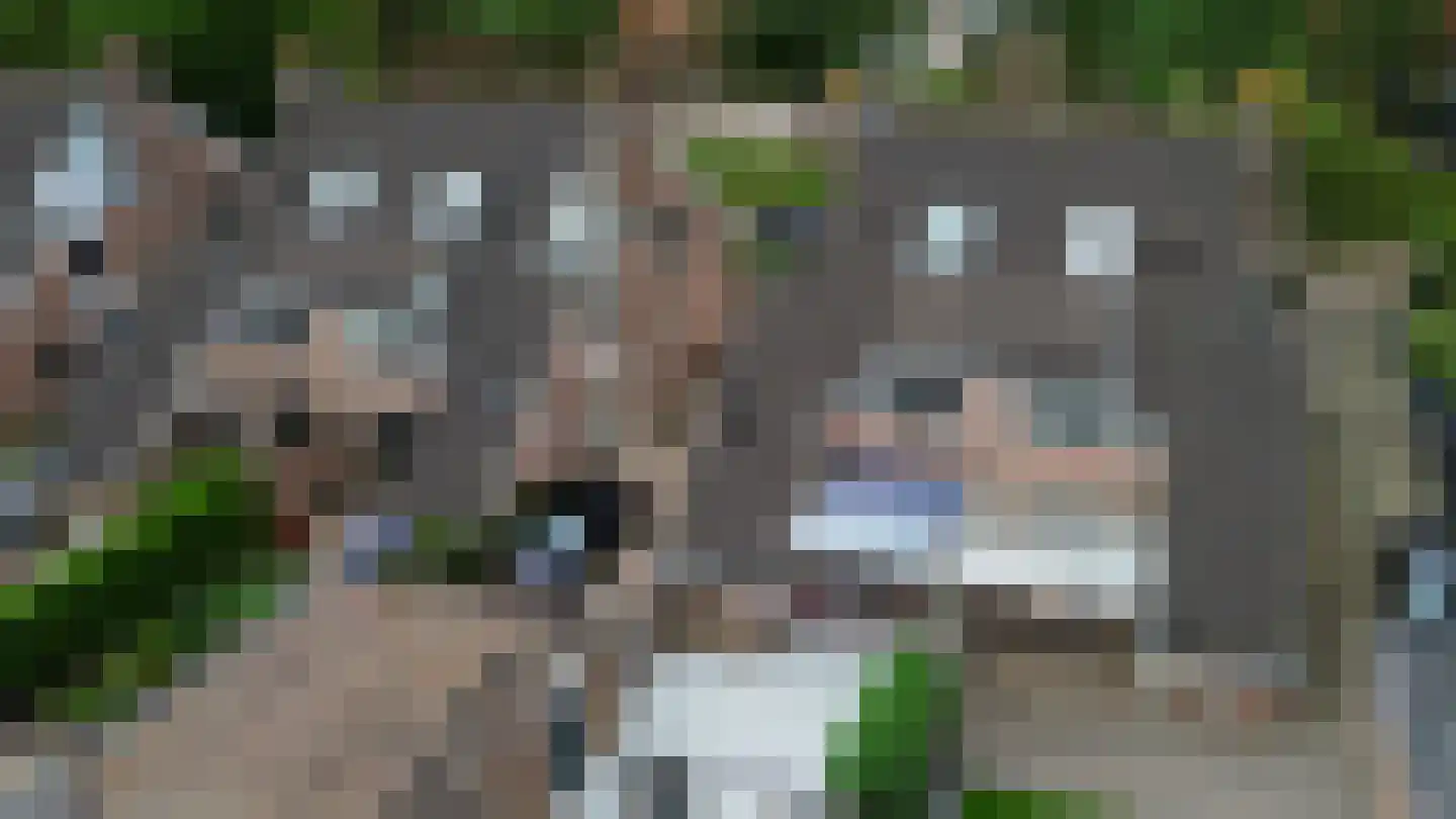 Koninginnelaan 57 Sommelsdijk thumbnail 42