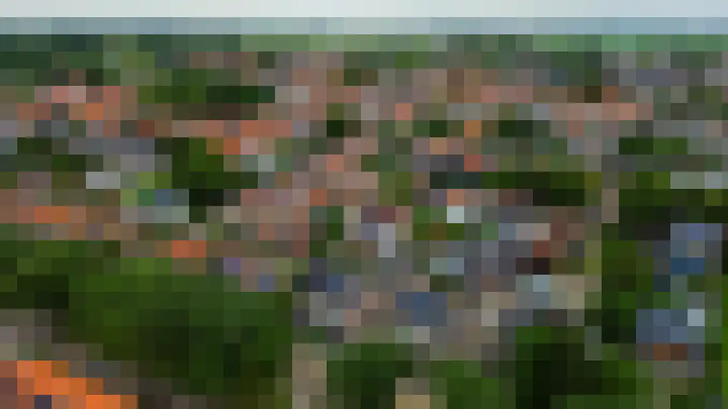 Koninginnelaan 57 Sommelsdijk thumbnail 43
