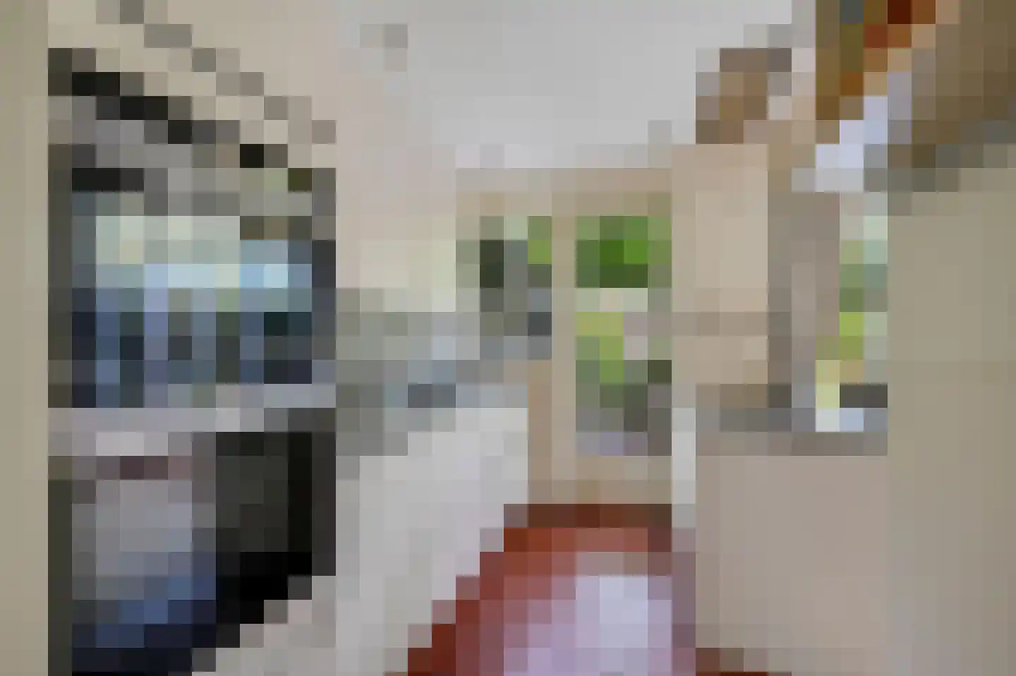 Koninginnelaan 58 Rijswijk thumbnail 12