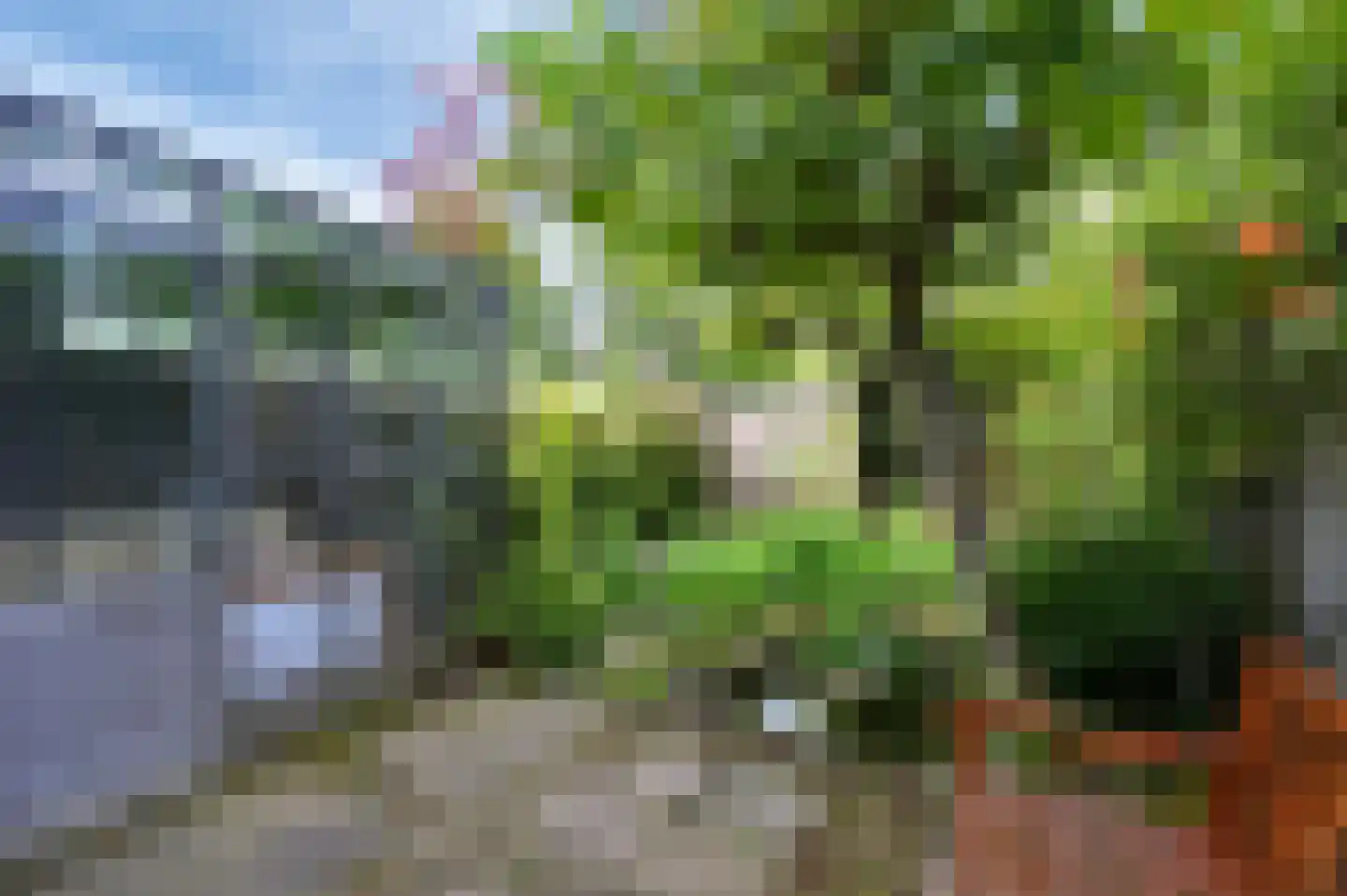 Koninginnelaan 58 Rijswijk thumbnail 13
