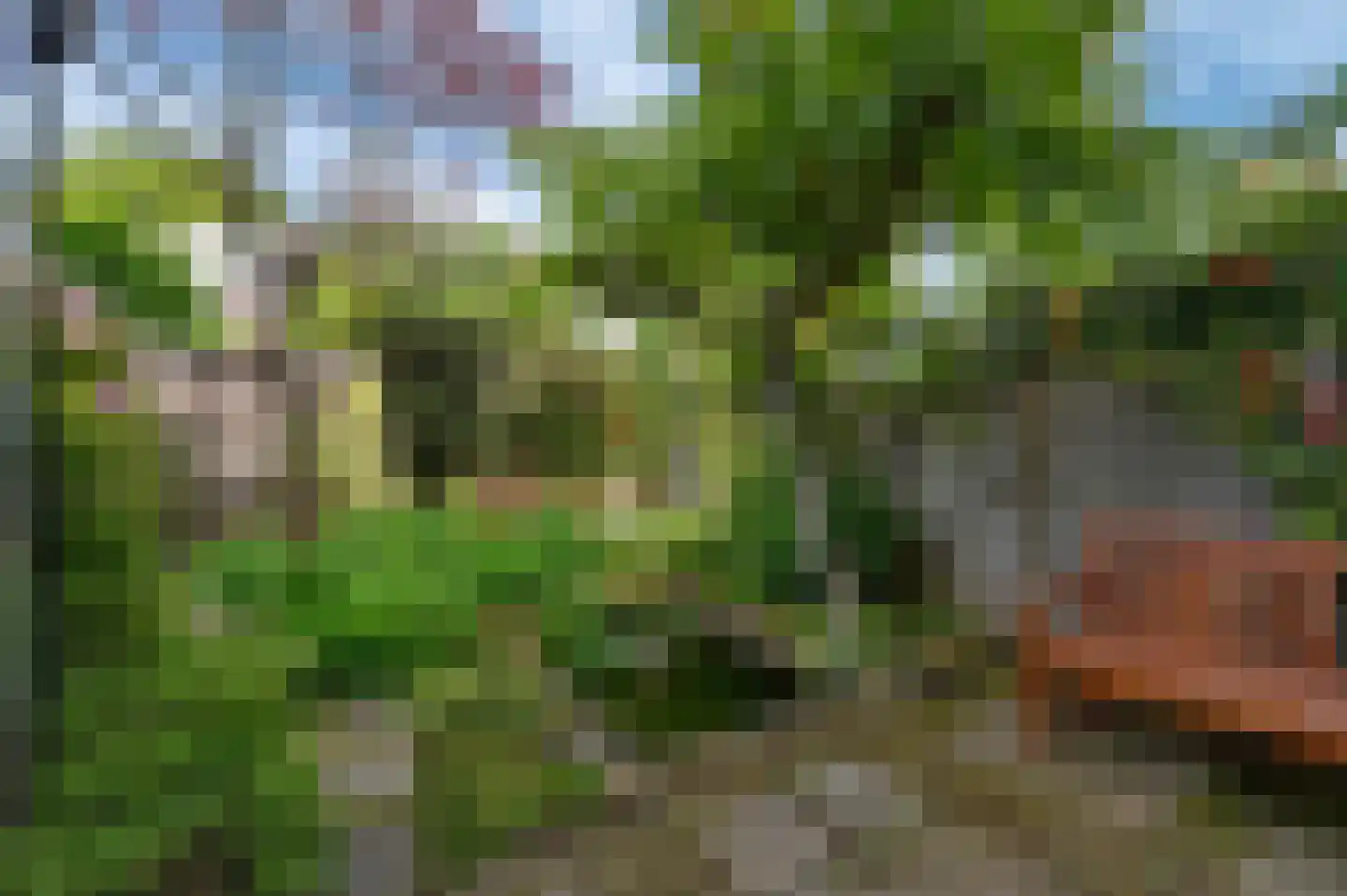 Koninginnelaan 58 Rijswijk thumbnail 15