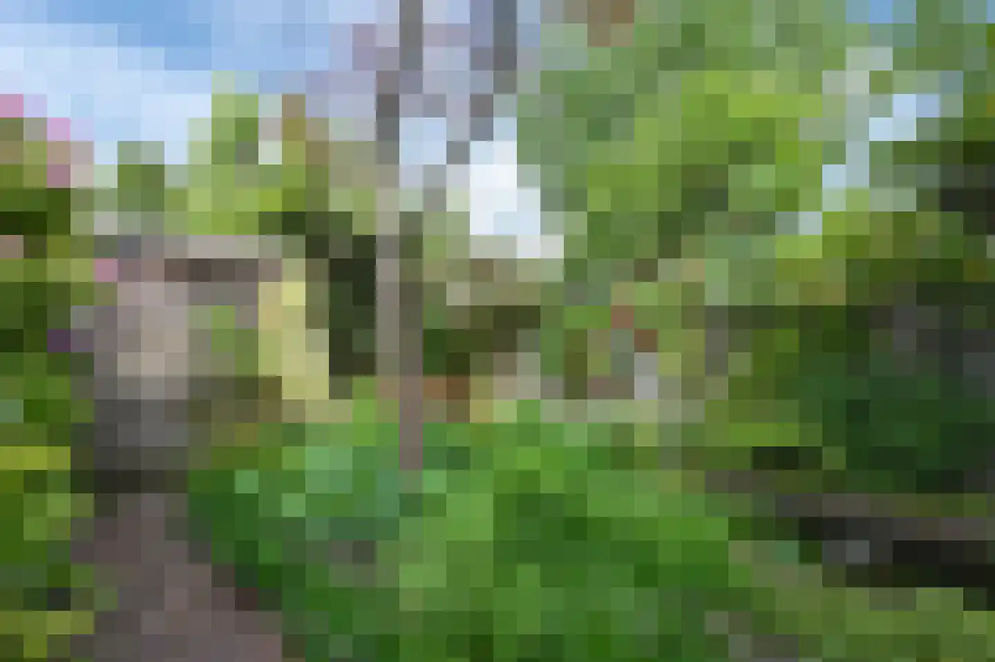 Koninginnelaan 58 Rijswijk thumbnail 16