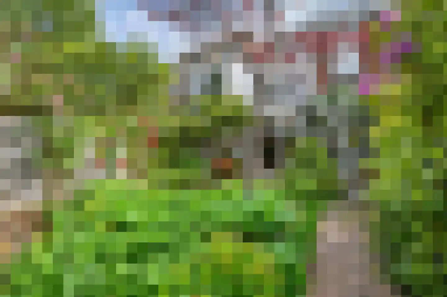 Koninginnelaan 58 Rijswijk thumbnail 17