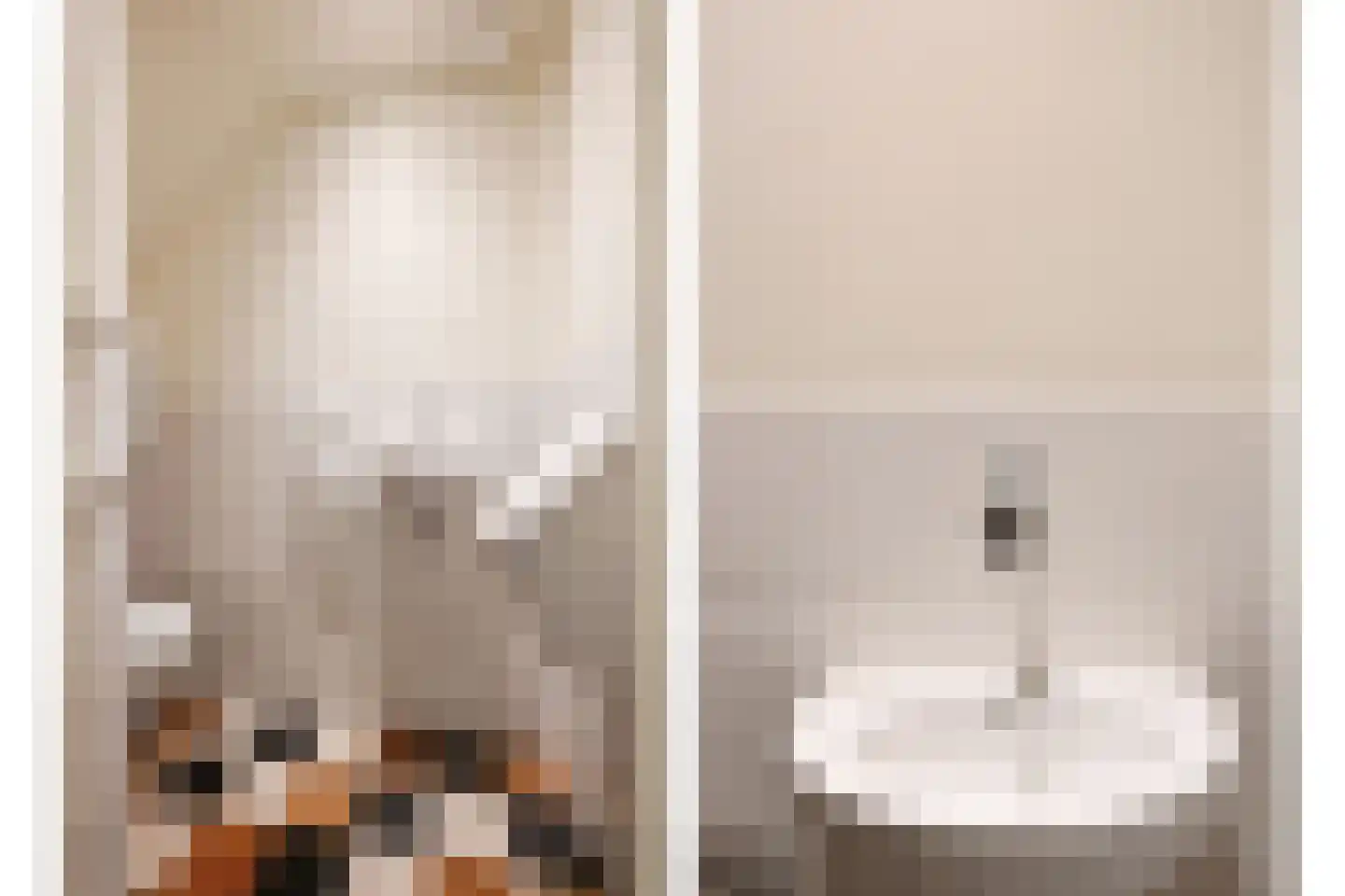 Koninginnelaan 58 Rijswijk thumbnail 19