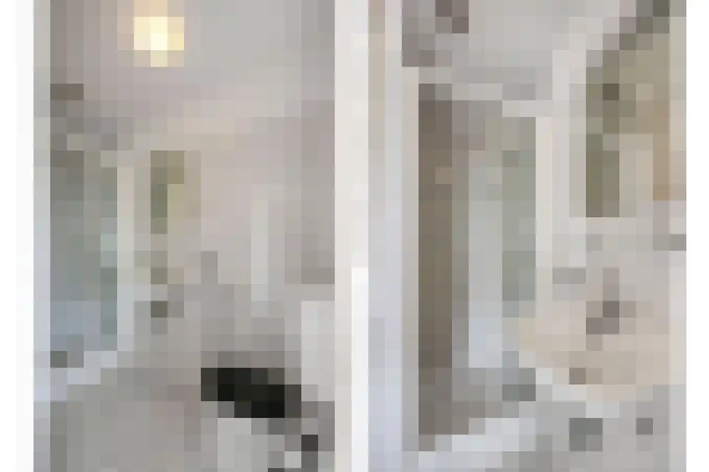 Koninginnelaan 58 Rijswijk thumbnail 27