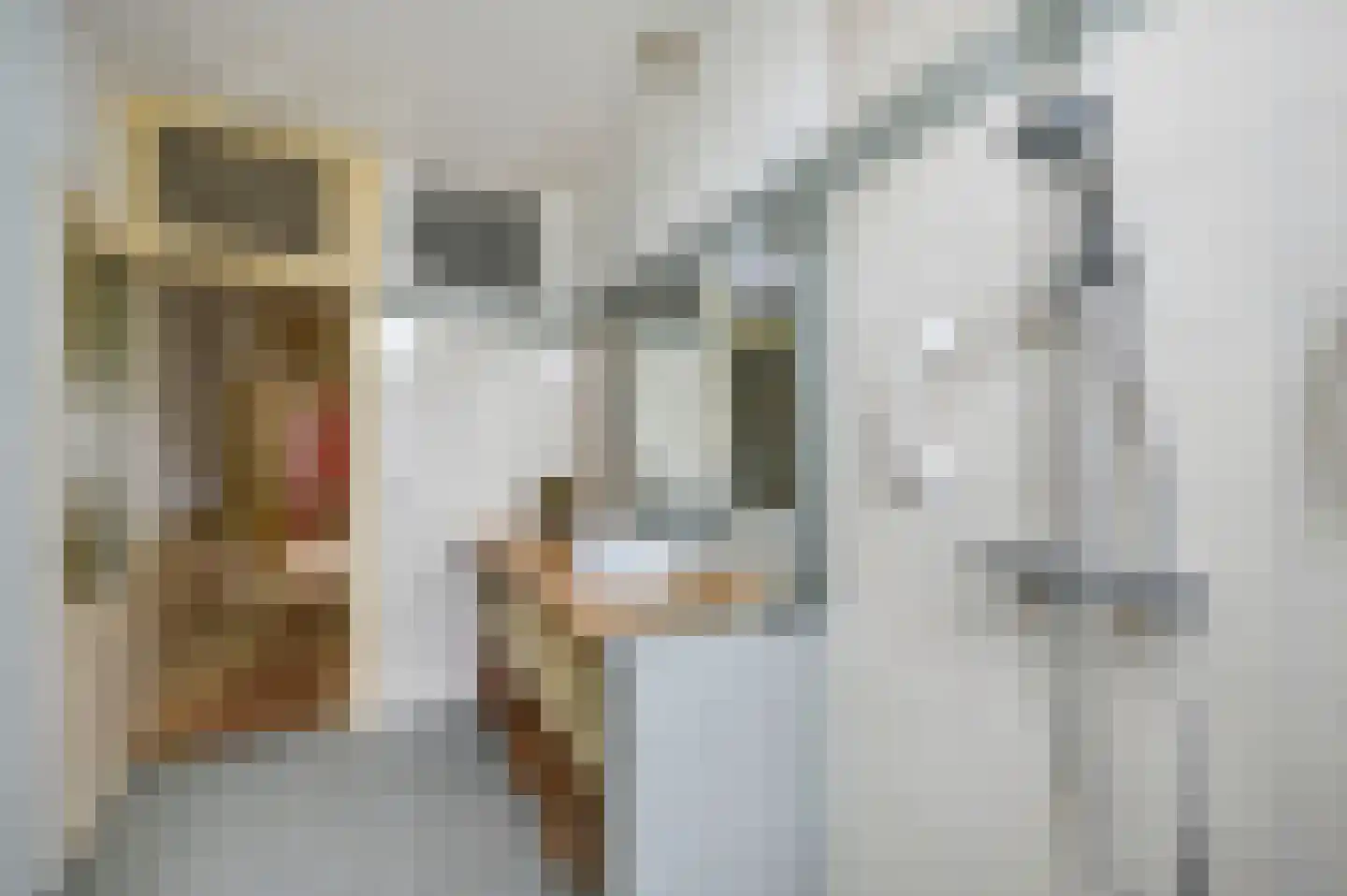 Koninginnelaan 58 Rijswijk thumbnail 30