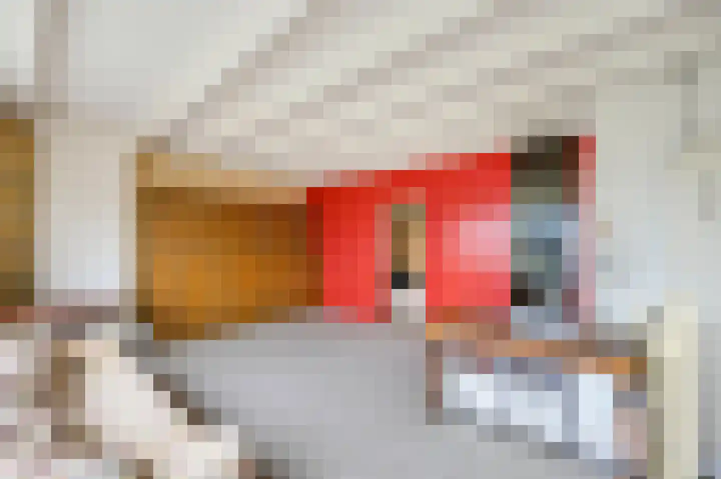 Koninginnelaan 58 Rijswijk thumbnail 31