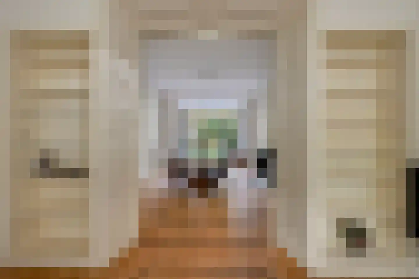 Koninginnelaan 58 Rijswijk thumbnail 7