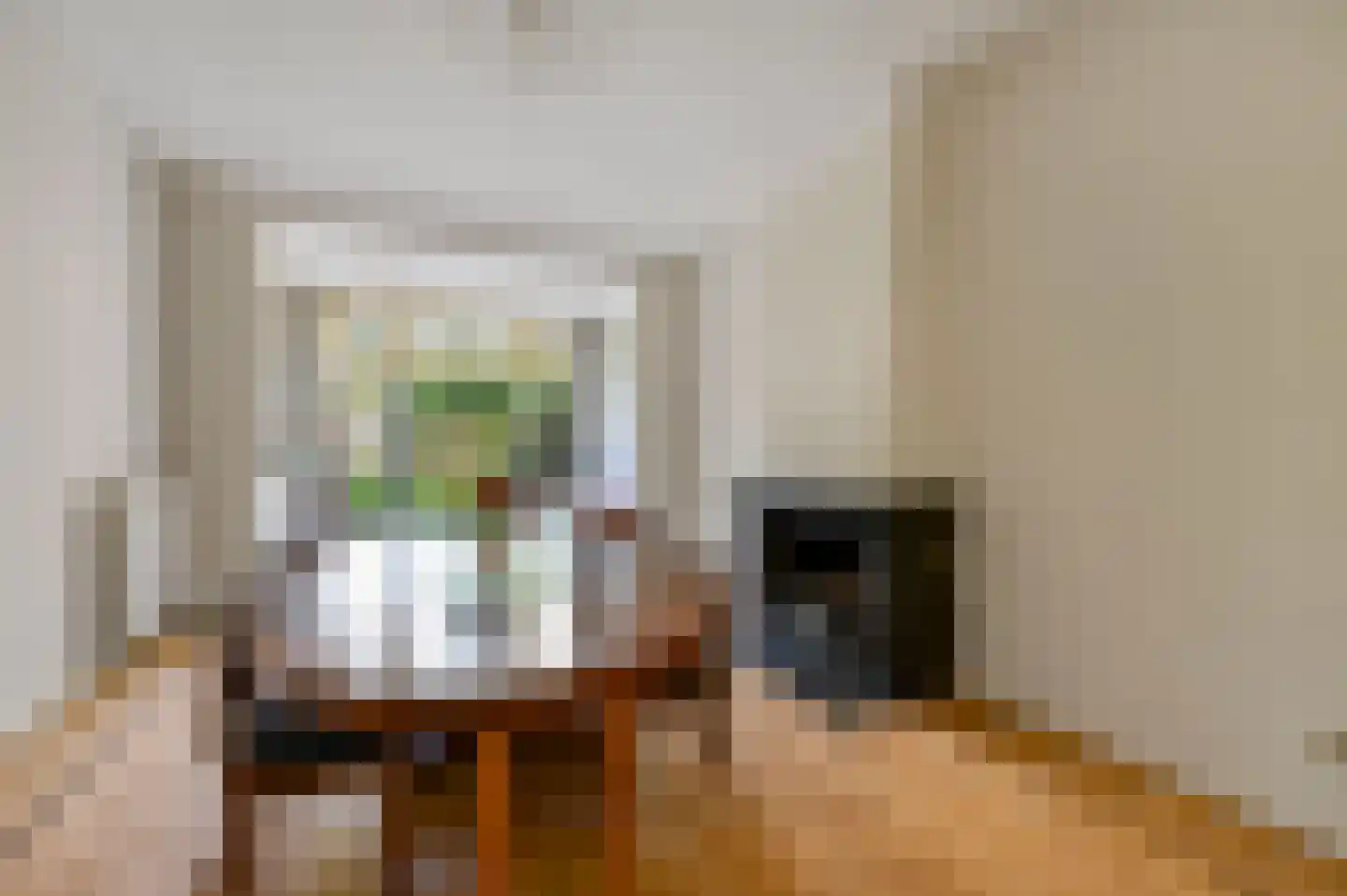 Koninginnelaan 58 Rijswijk thumbnail 8