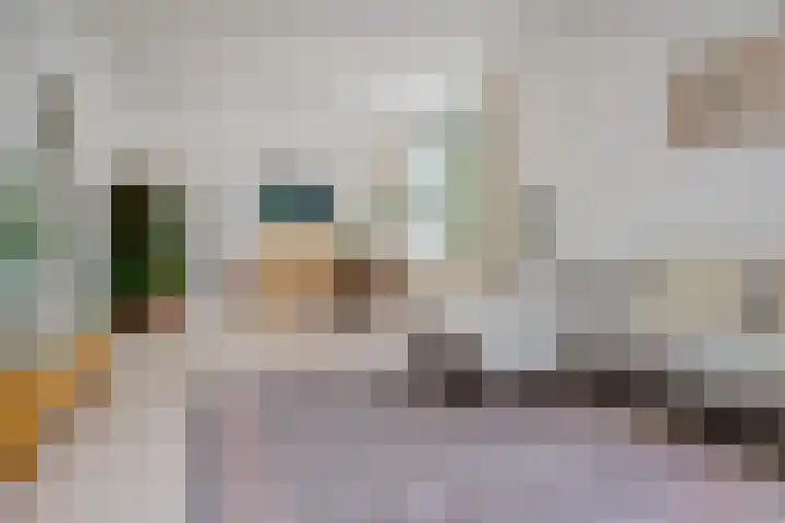 Koninginnelaan 59 a Groningen thumbnail 11