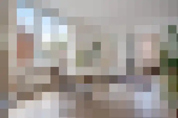 Koninginnelaan 59 a Groningen thumbnail 12