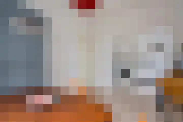 Koninginnelaan 59 a Groningen thumbnail 15